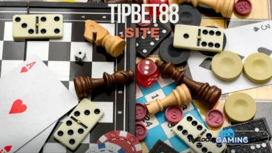 tipbet88.site