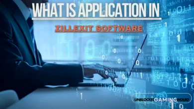 what is application in zillexit software